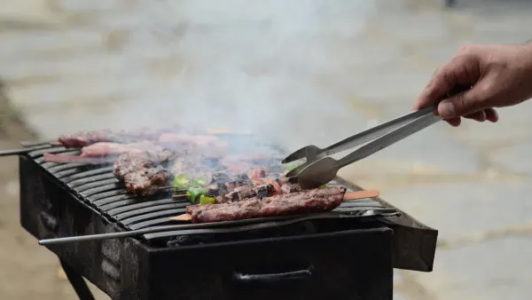 Mangal Alanımızdan Kareler - 8
