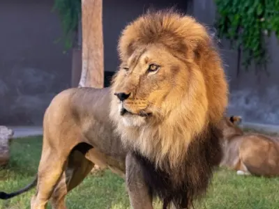 Antikköy Hayvanat Bahçesi